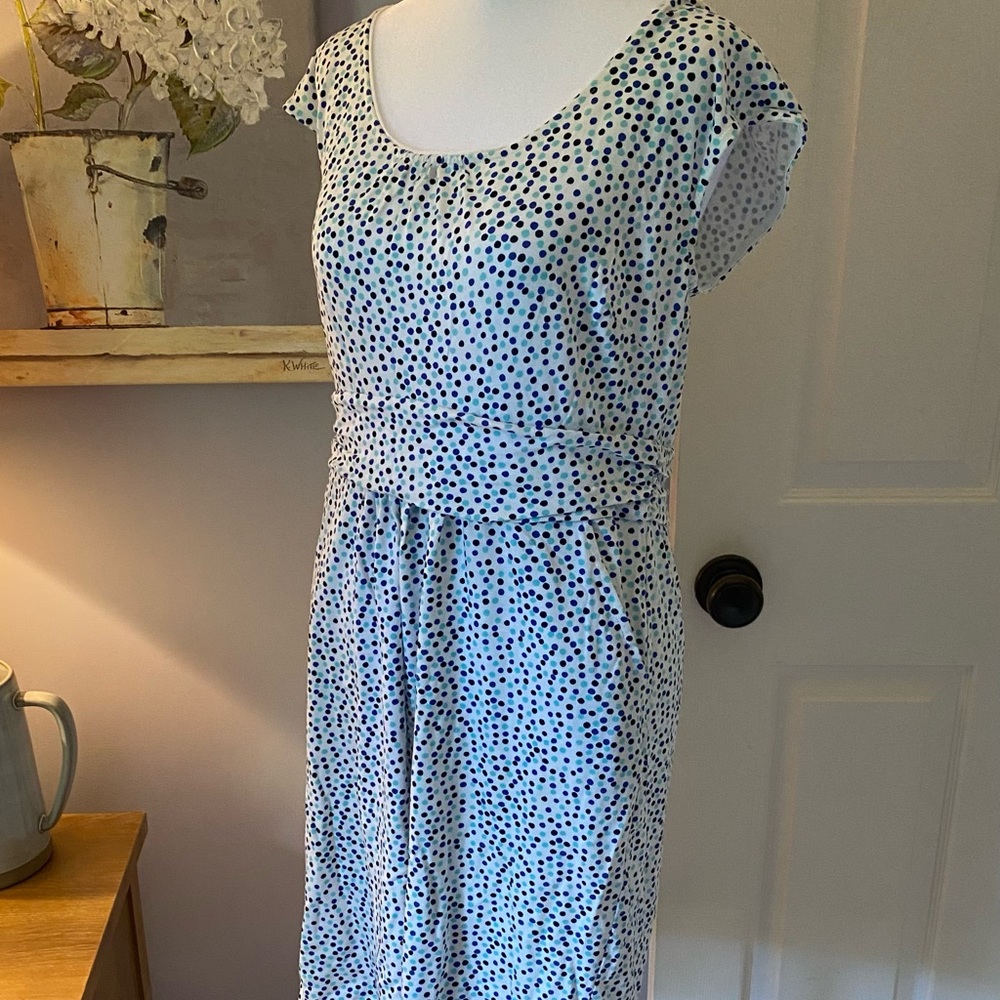 Elegant Polka Dot Dress - Blue and White